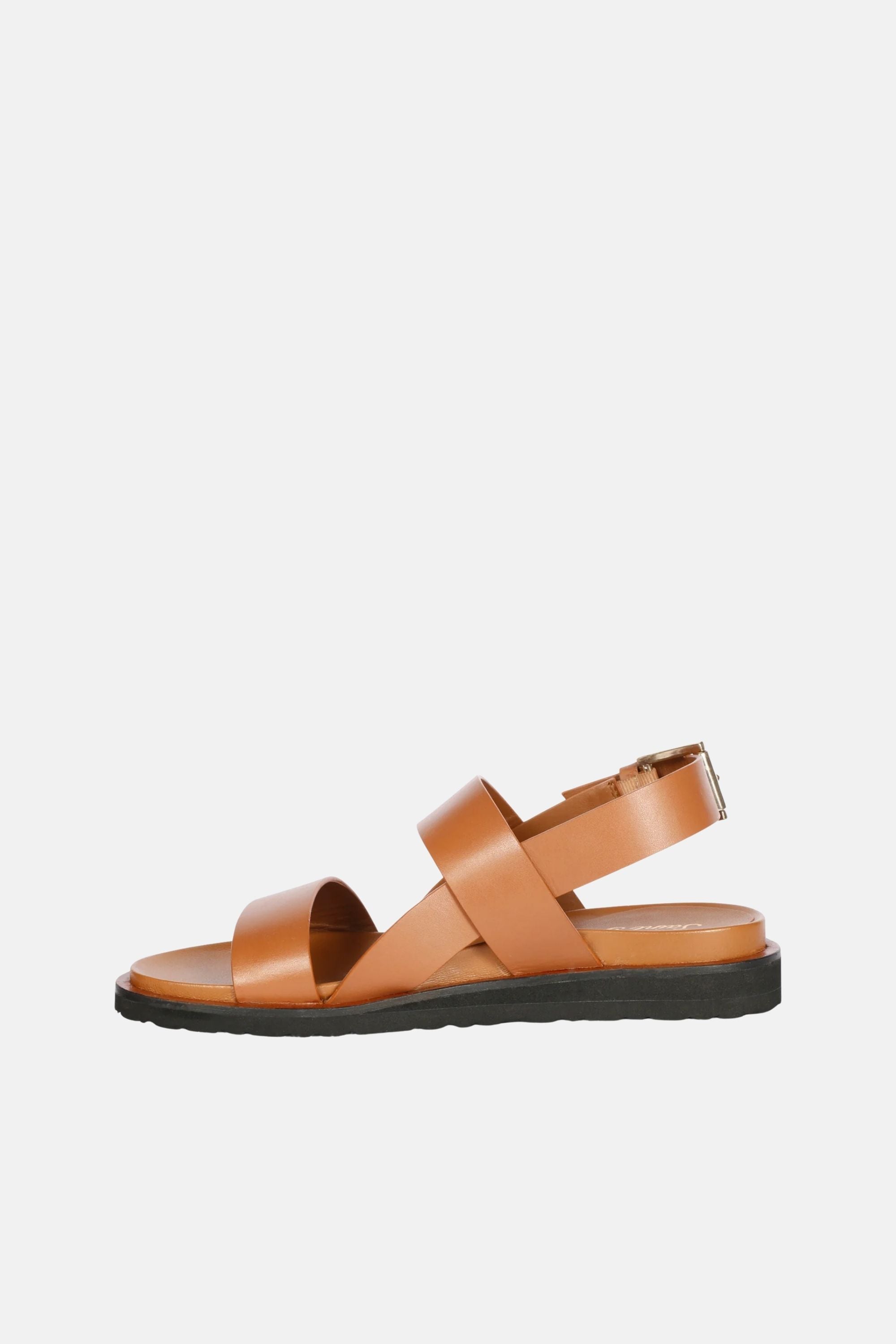 SGF_SICILY-TAN #7