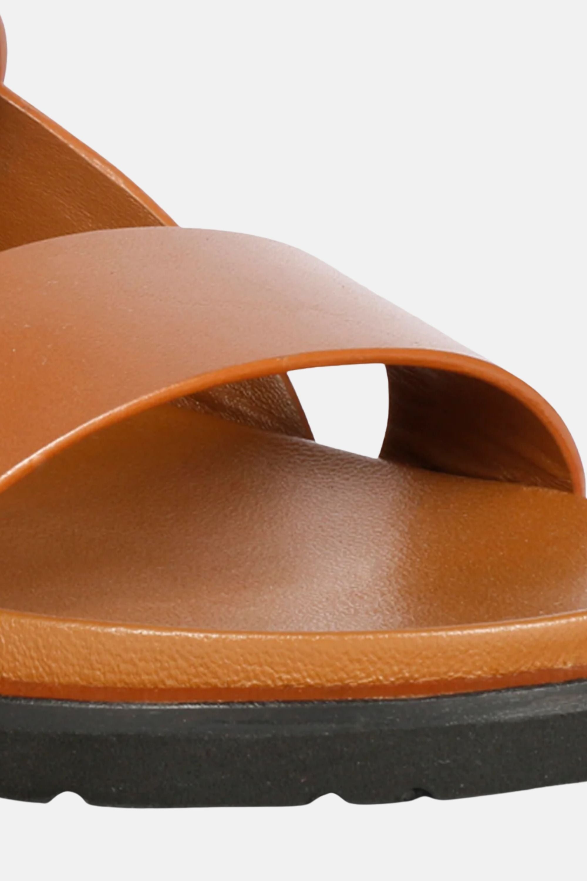 SGF_SICILY-TAN #8