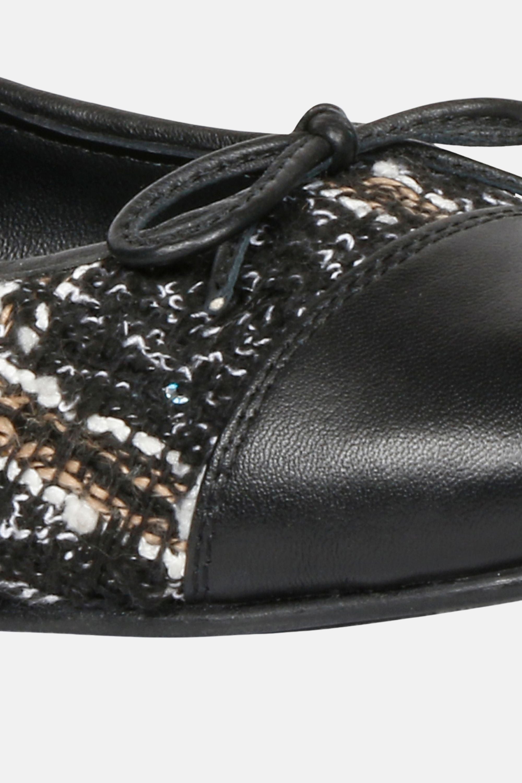 SGF_ZINNIA-BLK #5