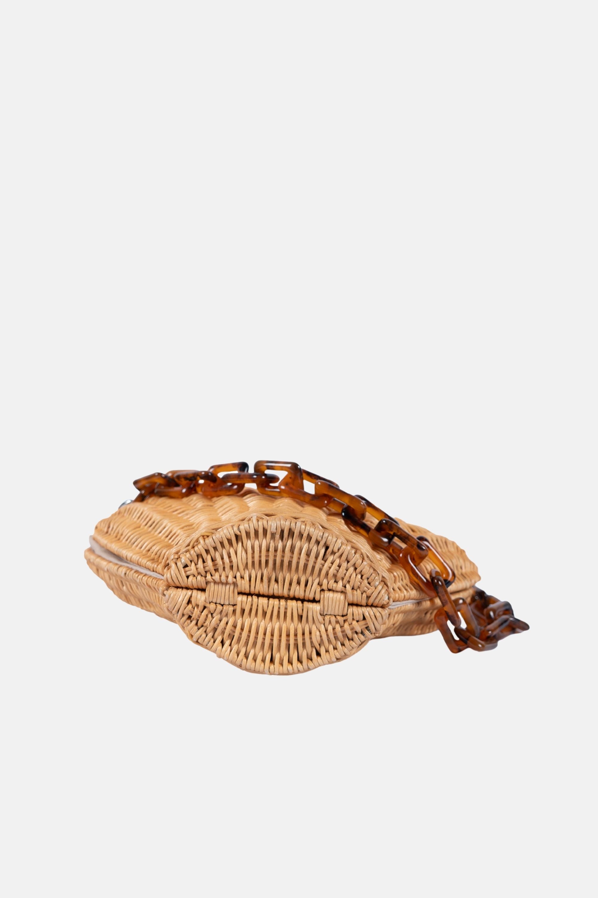Jelavu - Shelly Tortoise