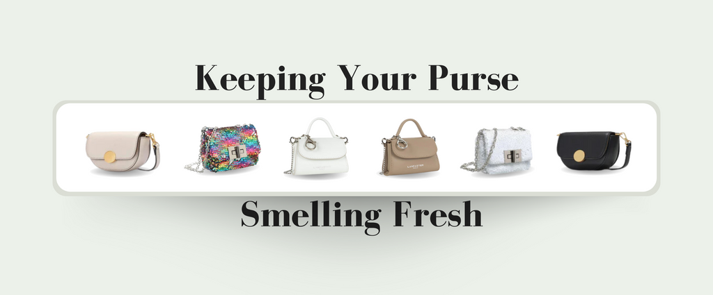 Keeping Your Purse Smelling Fresh: Odor-Busting Tips | Blog Cover