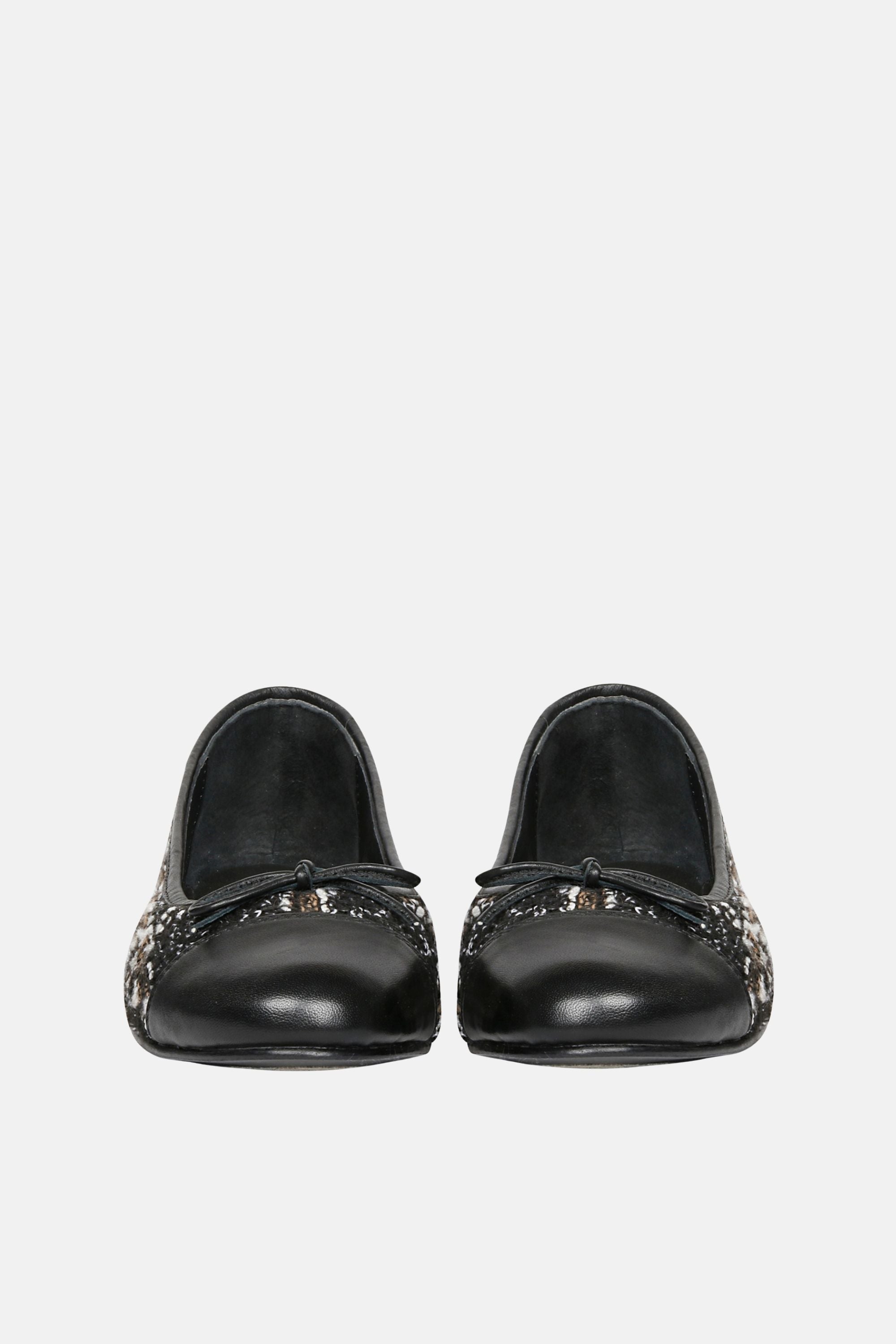 SGF_ZINNIA-BLK #3