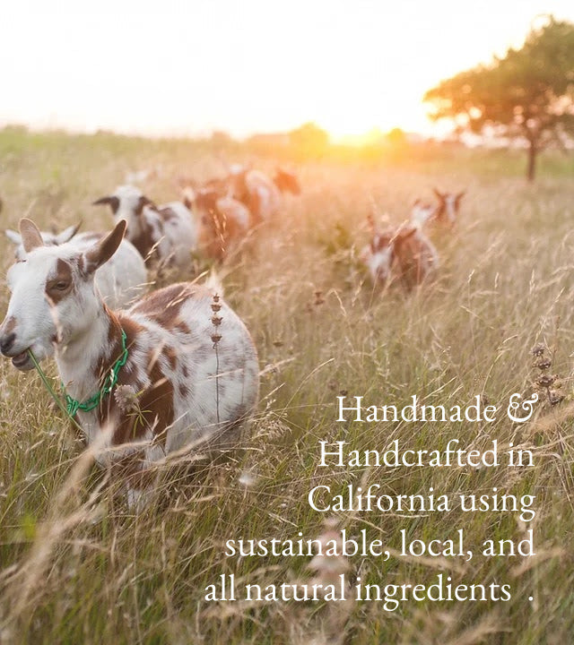 Fragrance Free Goat Milk Lotion | Unscented for Sensitive Skin