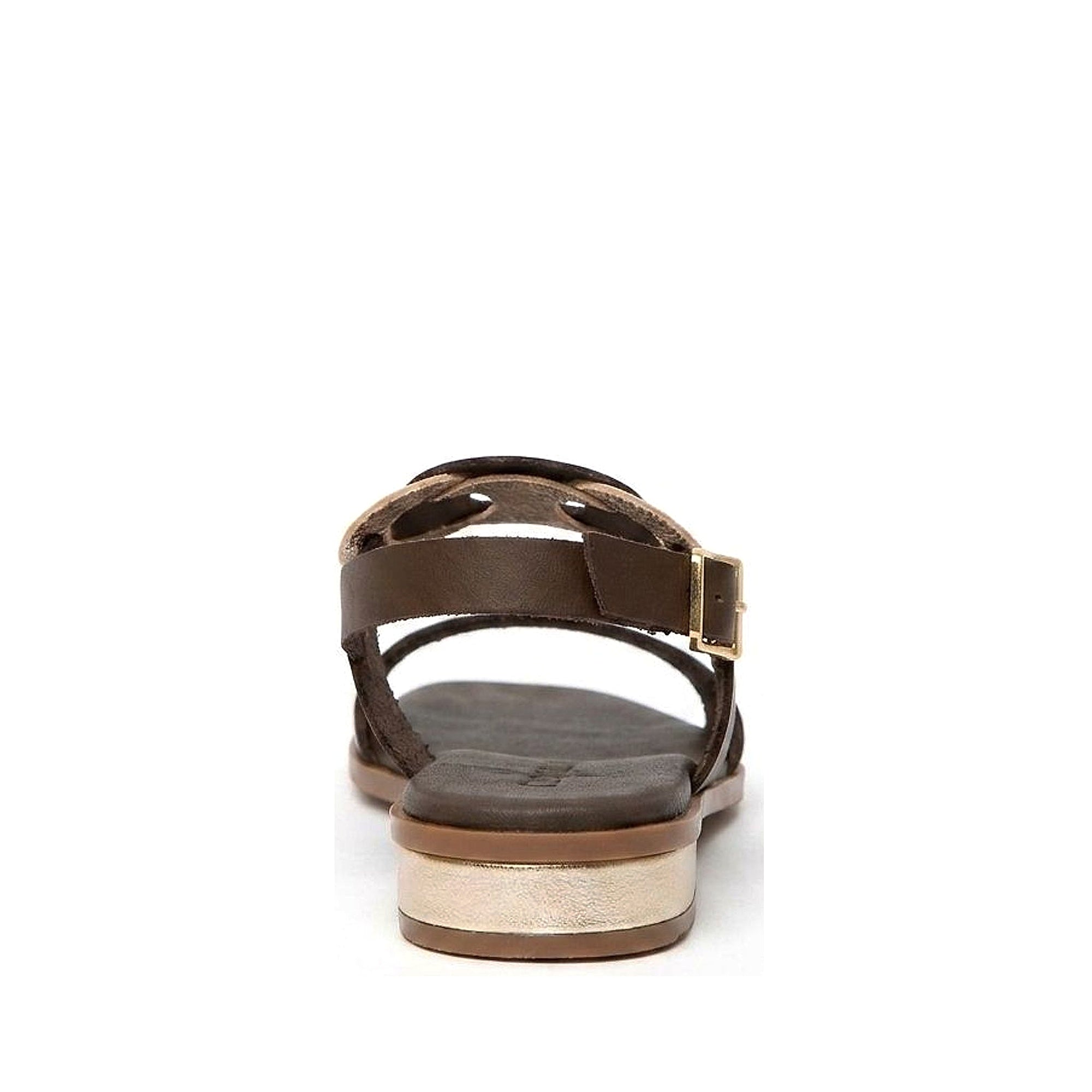 Cala Chestnut