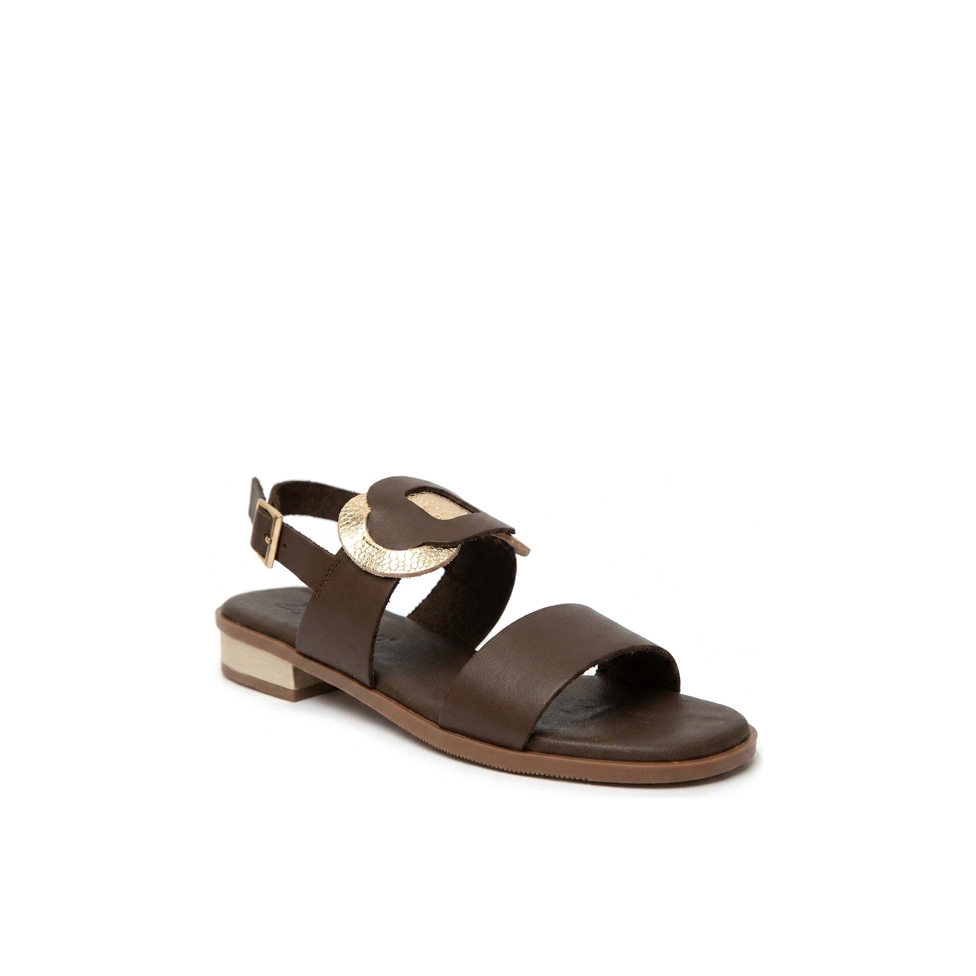 Cala Chestnut