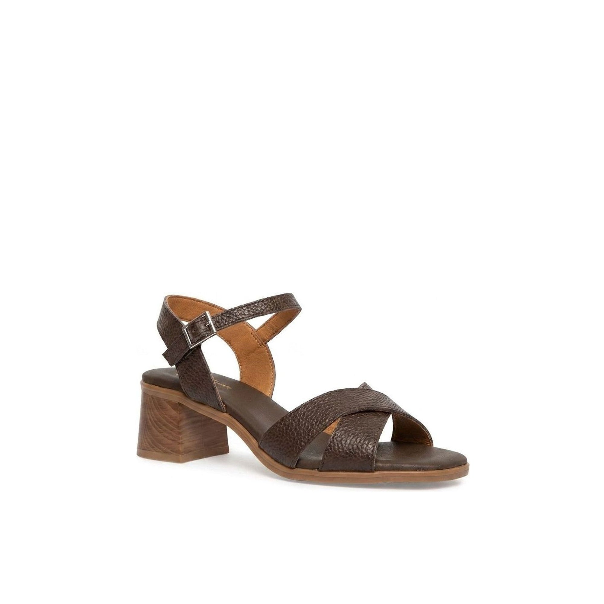 Celia Chestnut
