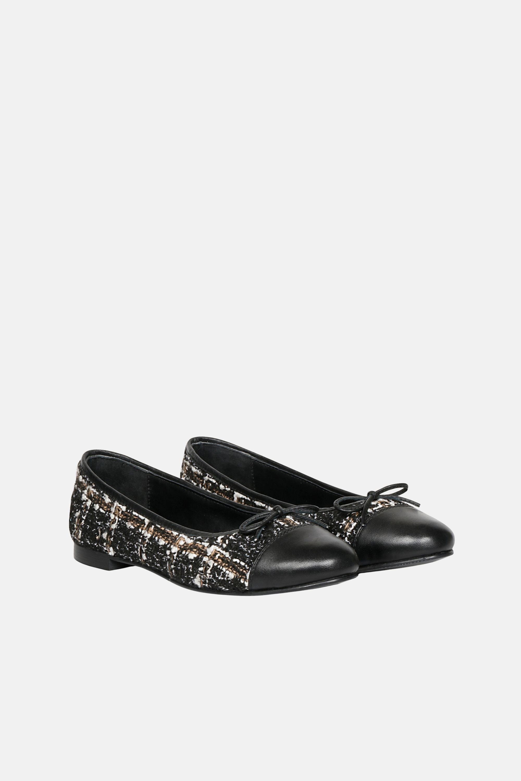 SGF_ZINNIA-BLK #2